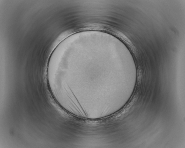 X0000111031378200908061426