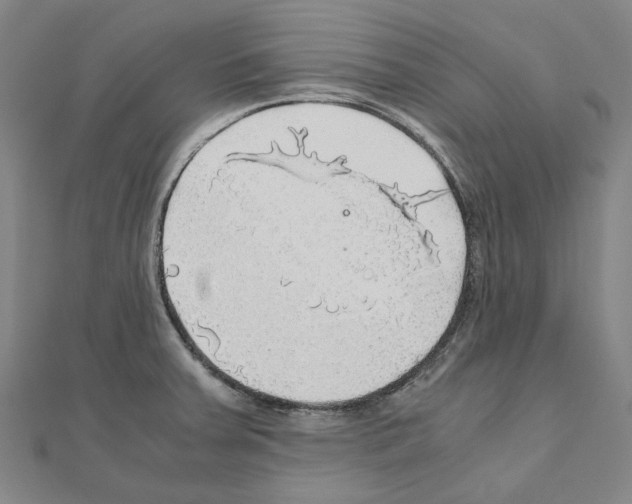 X0000111031379200908061426