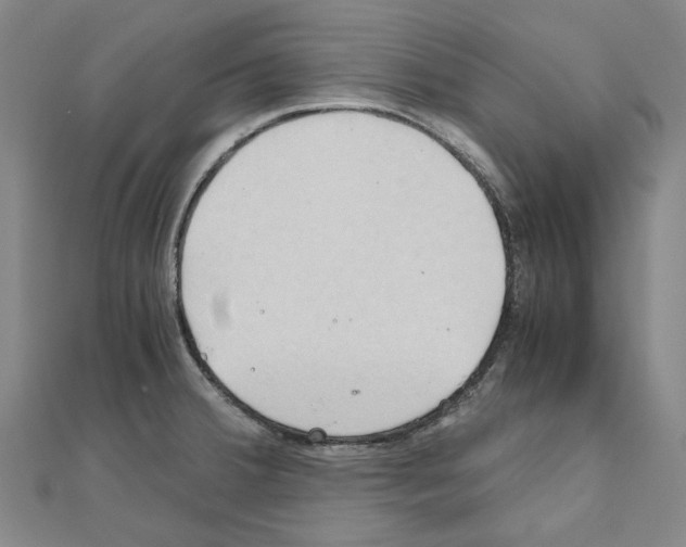 X0000111031380200908061426