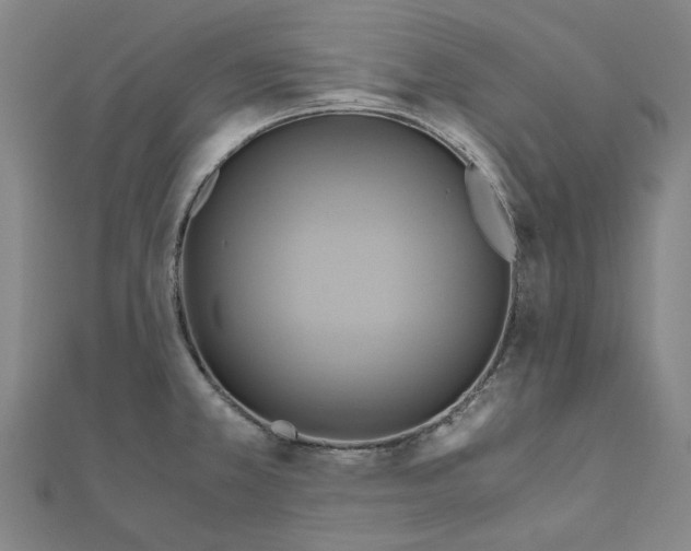 X0000111031381200908061426