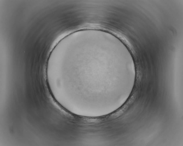 X0000111031382200908061426