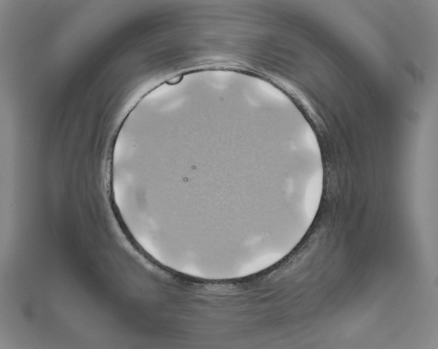 X0000111031383200908061426