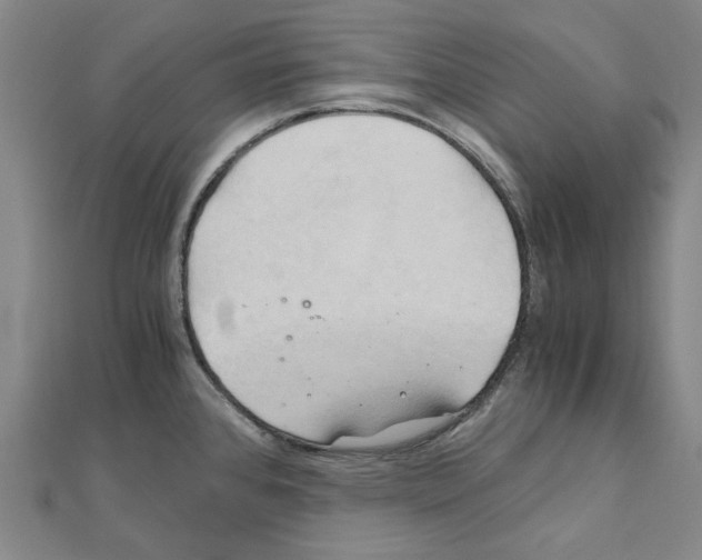 X0000111031384200908061426