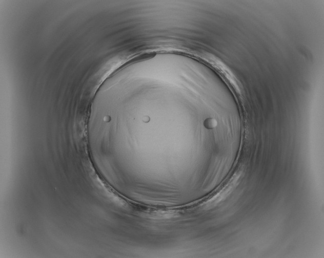 X0000111031385200908061426