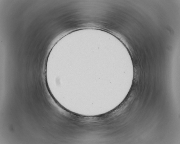 X0000111031387200908061426