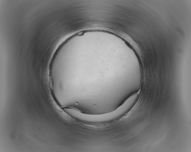 X0000111031388200908061426