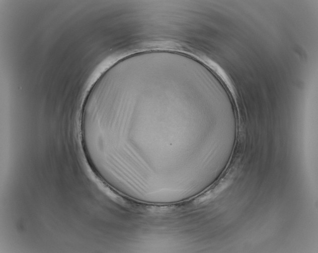 X0000111031389200908061426