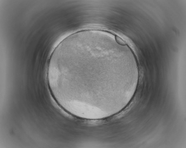 X0000111031390200908061426