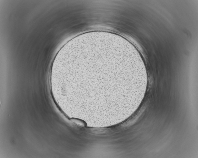 X0000111031391200908061426