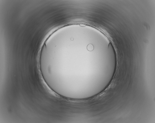 X0000111031392200908061426