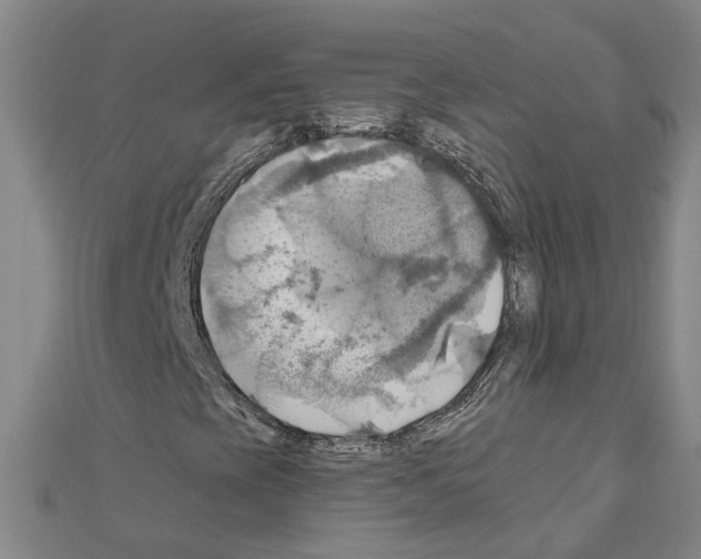 X0000111031393200908061425