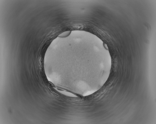 X0000111031394200908061425