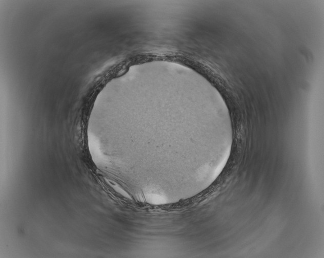 X0000111031398200908061426