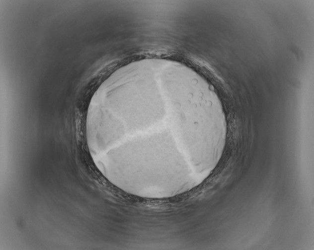 X0000111031399200908061426