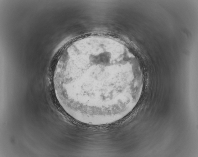 X0000111031400200908061426