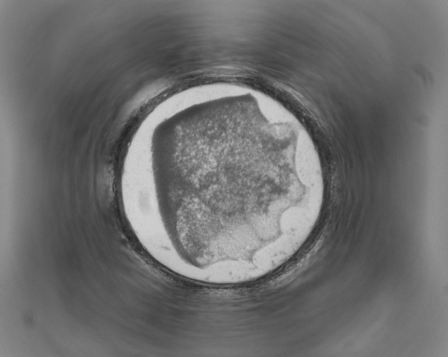 X0000111031402200908061426