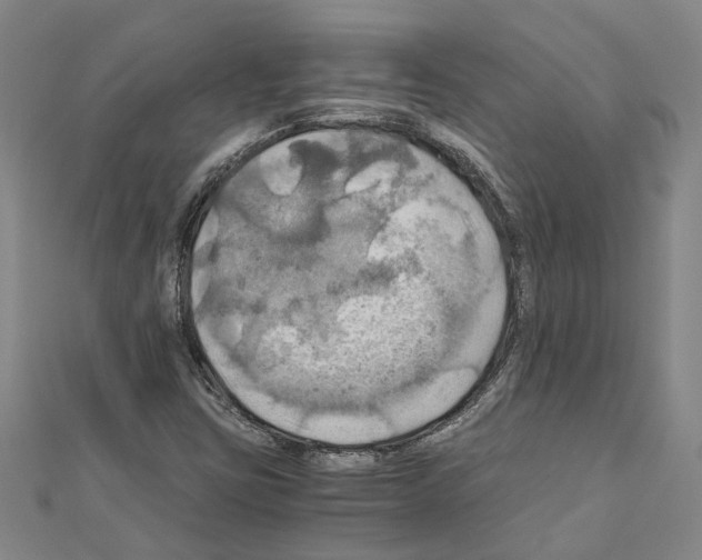 X0000111031403200908061426