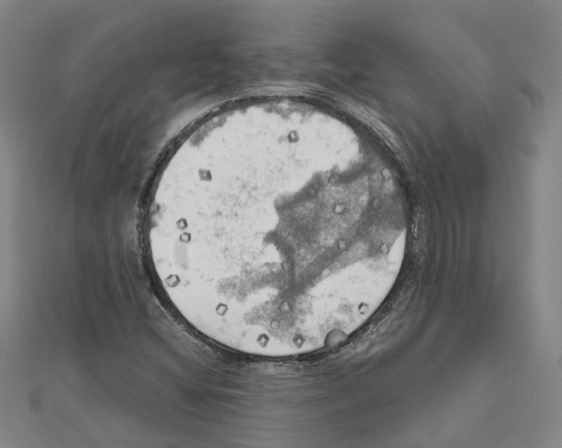 X0000111031404200908061426