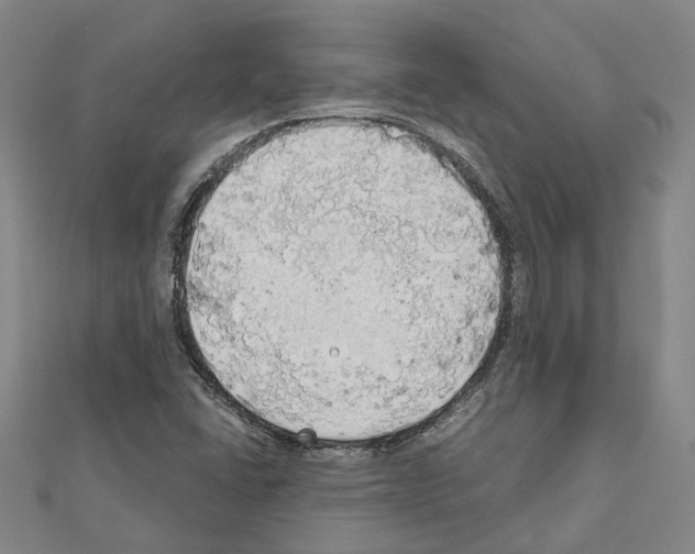 X0000111031406200908061426