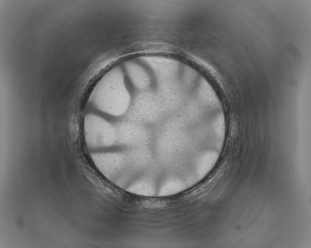 X0000111031407200908061426