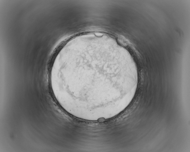 X0000111031408200908061426