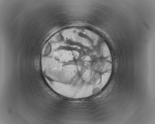 X0000111031409200908061426