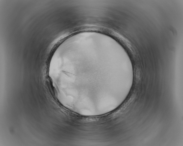 X0000111031411200908061426