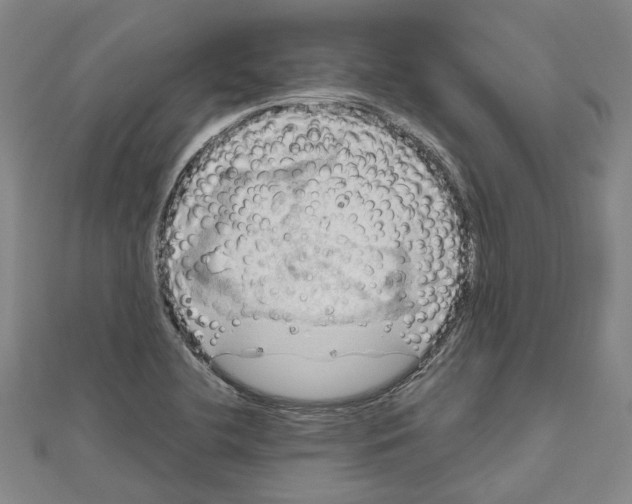 X0000111031412200908061426