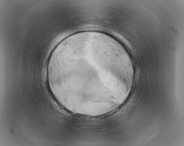 X0000111031413200908061426