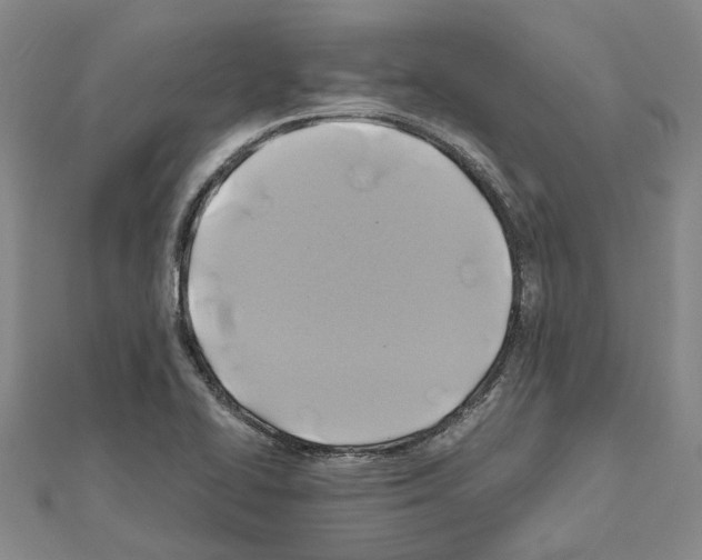 X0000111031414200908061426