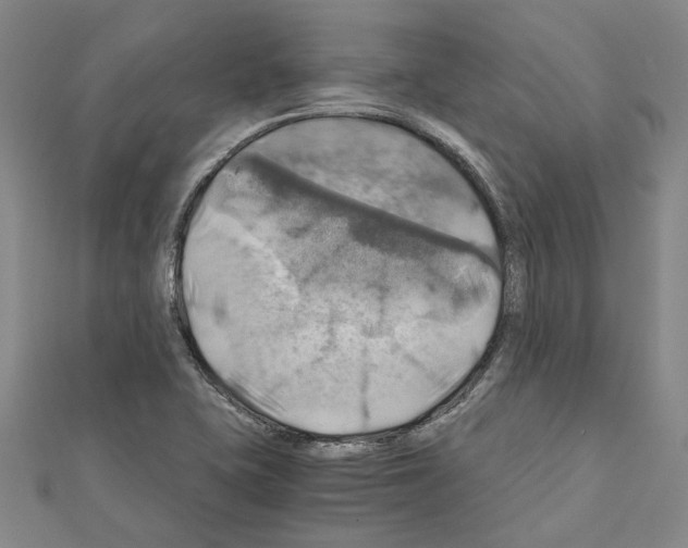 X0000111031415200908061426