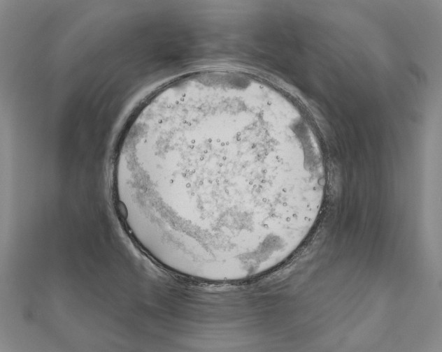 X0000111031416200908061426