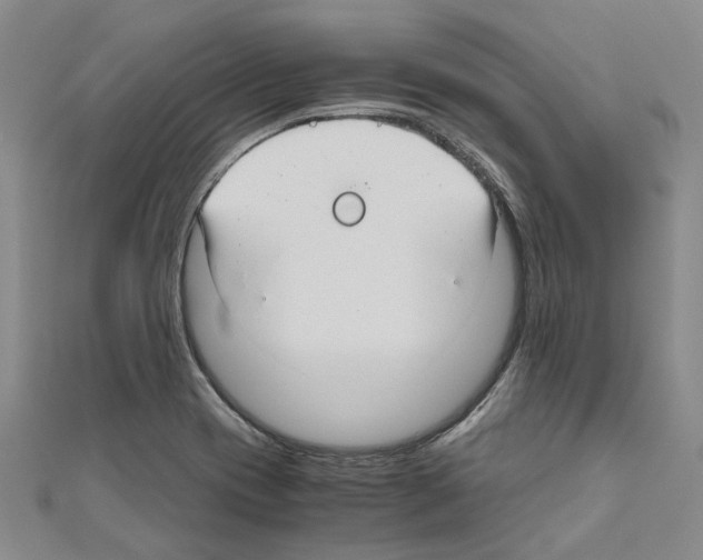 X0000111031417200908061426