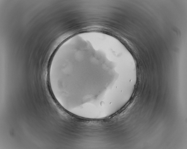 X0000111031418200908061426