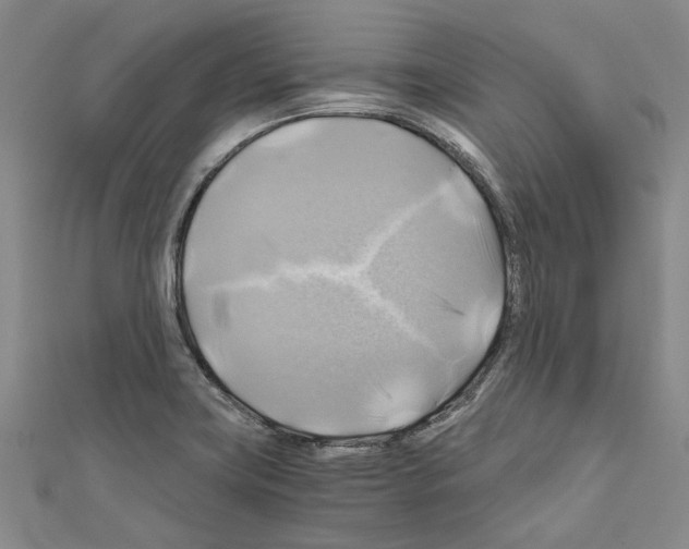 X0000111031419200908061426