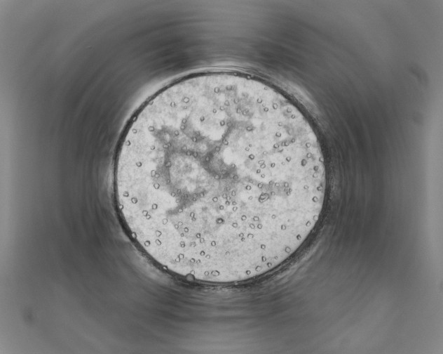 X0000111031420200908061426