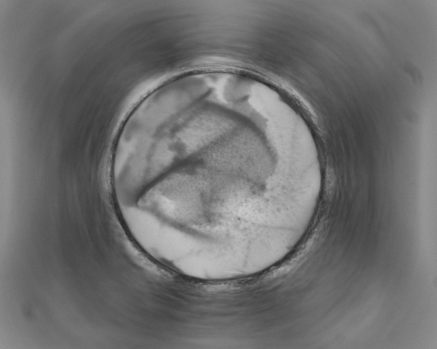 X0000111031421200908061426