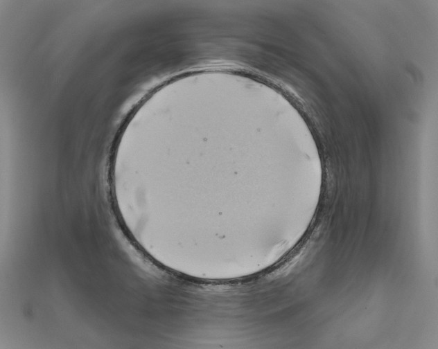 X0000111031422200908061426