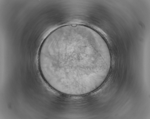 X0000111031423200908061426