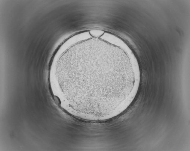 X0000111031424200908061426