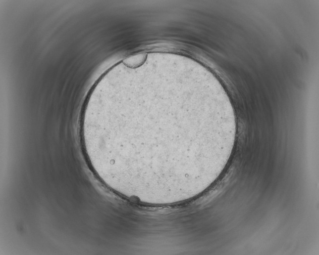 X0000111031426200908061426