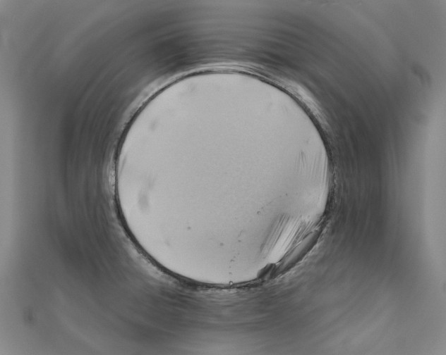 X0000111031428200908061426