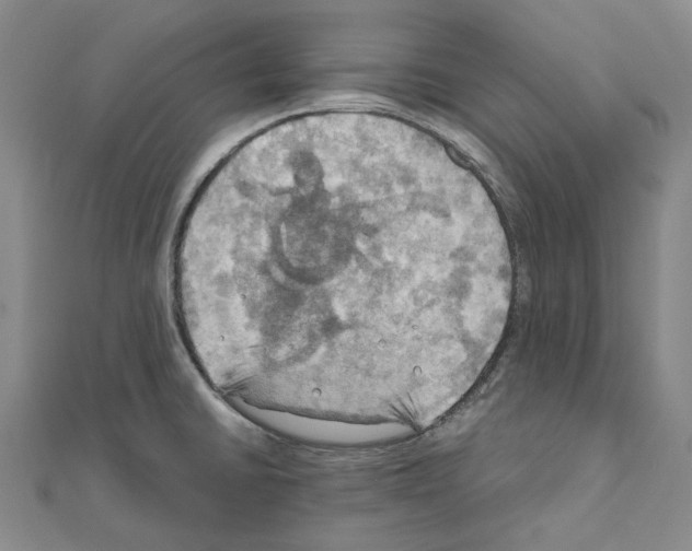 X0000111031430200908061426