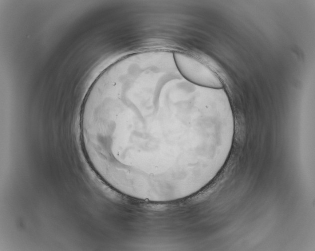 X0000111031431200908061426