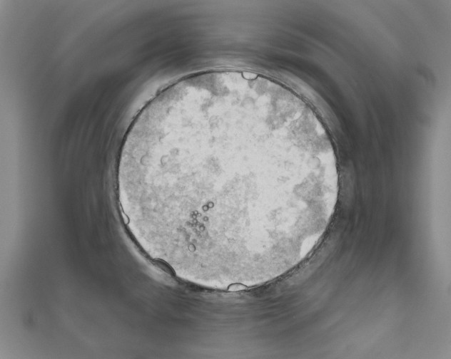 X0000111031432200908061426