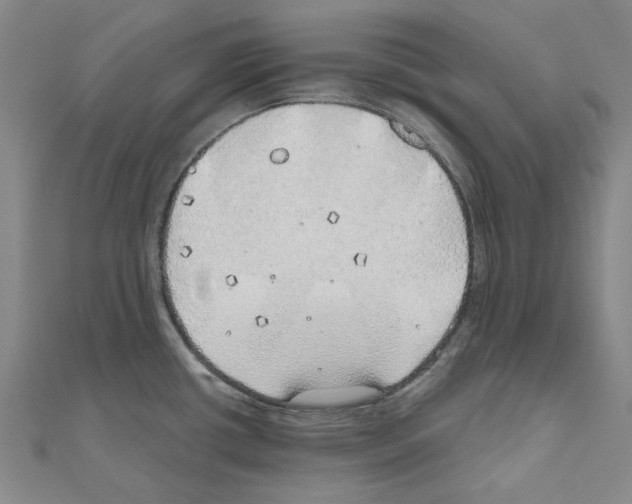 X0000111031434200908061426