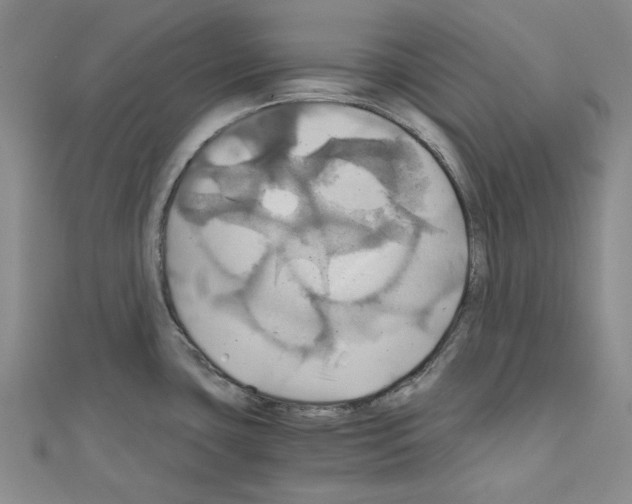 X0000111031435200908061426