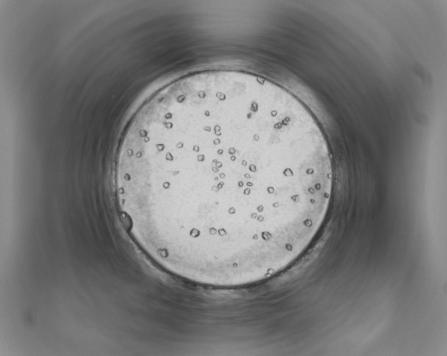 X0000111031436200908061426