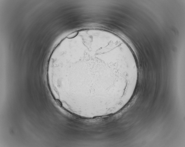 X0000111031437200908061426