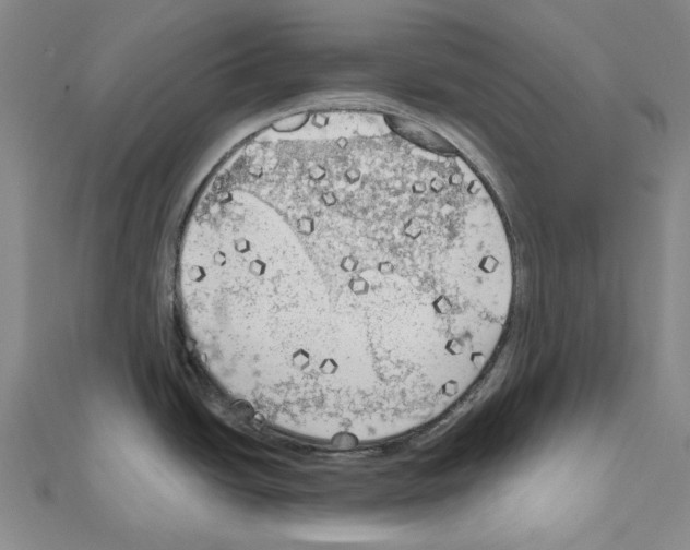 X0000111031438200908061426